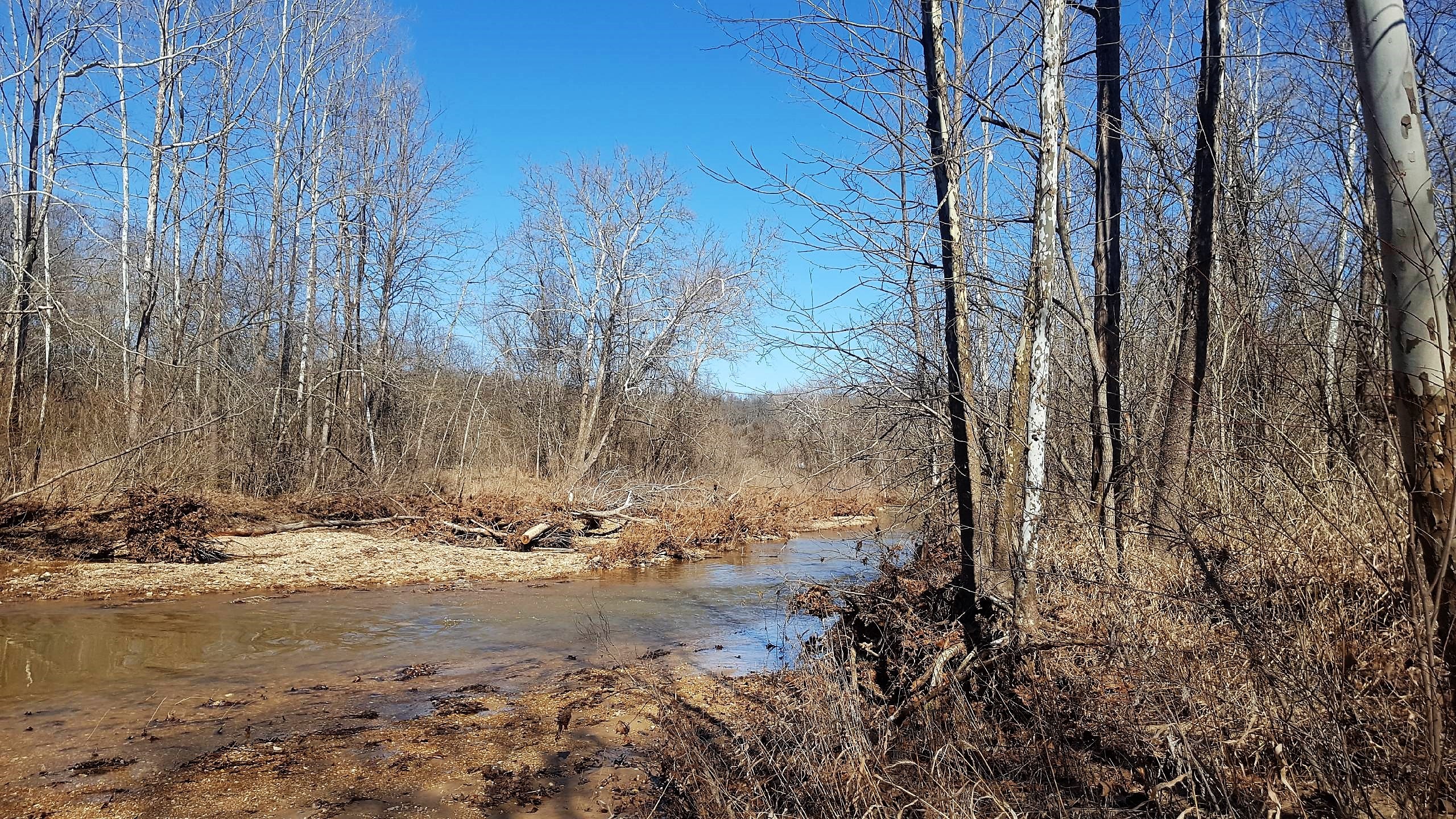 Acreage For Sale Catawissa, MO